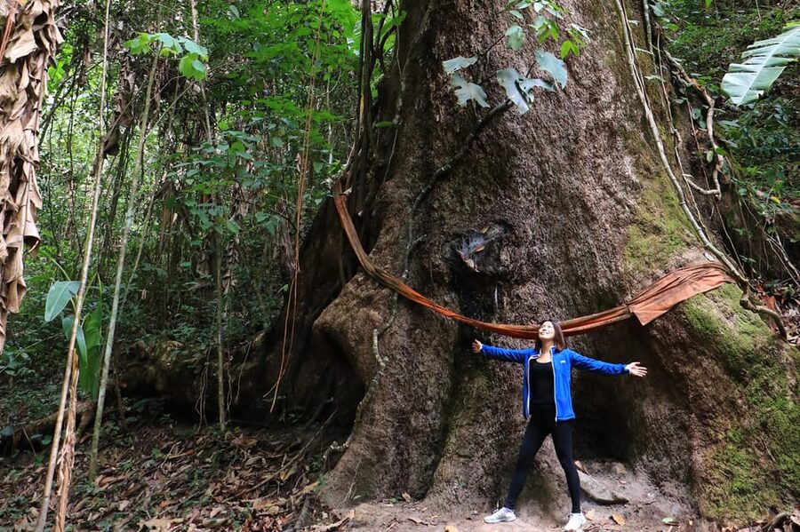 Chiang Mai: Gibbons, Trekking & Mae Kampong Small Group Tour - Key Moments You Should Care About