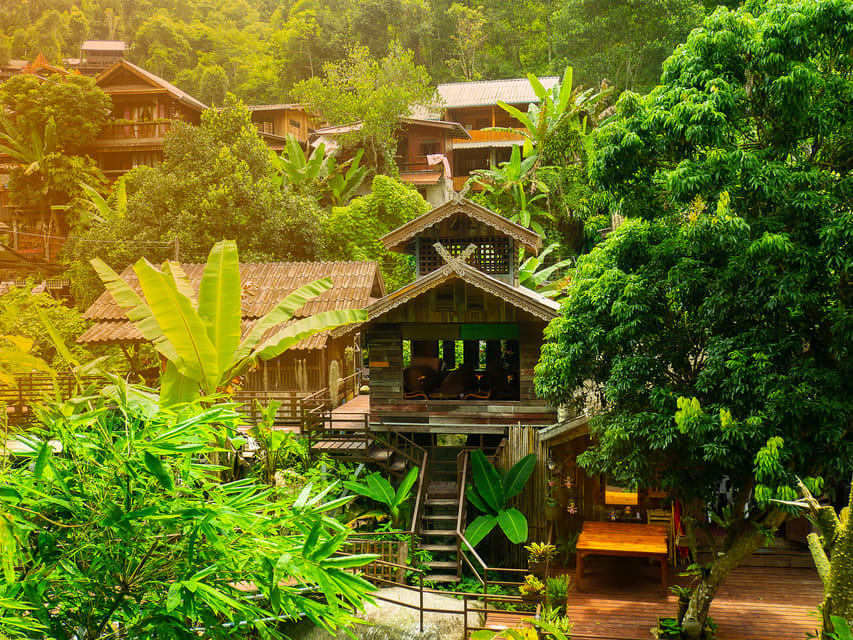 Chiang Mai: Gibbons, Trekking & Mae Kampong Small Group Tour - Who Runs This Day: Guides, Drivers, and a Local Team Feel