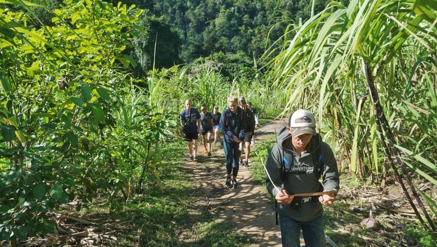 Chiang Mai: Guided Jungle and Waterfall Trek with Transfer - The 10-meter waterfall: swim time and how to enjoy it safely