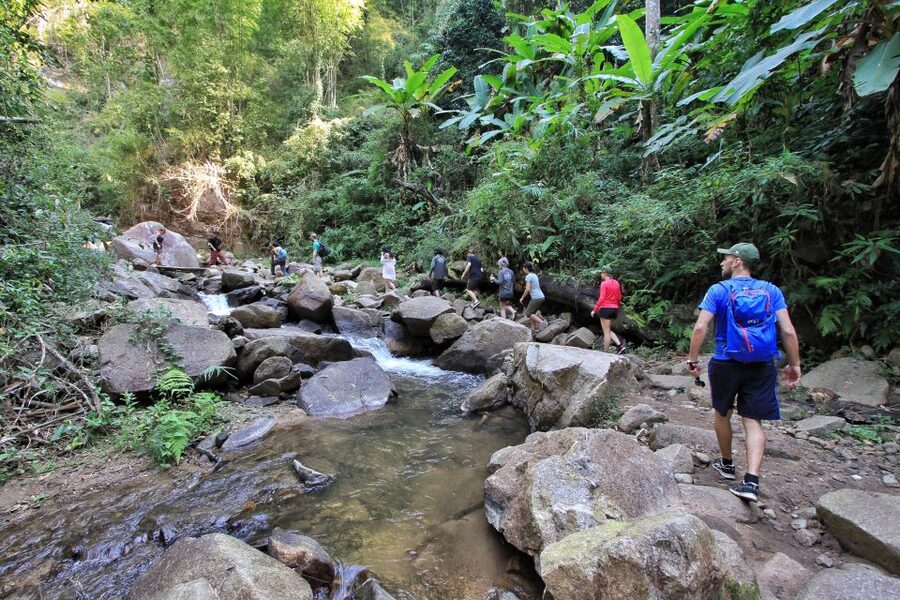 Chiang Mai: Guided Jungle and Waterfall Trek with Transfer - What to pack for a wet, jungle day in Chiang Mai