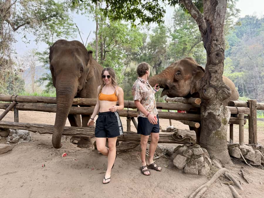 Chiang Mai Half-Day Adventure: River Tubing & Waterfall - Price and value, what you are paying for
