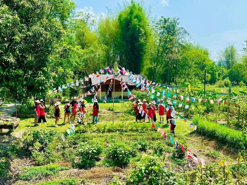 Chiang Mai: Half Day Cooking Class at Organic Farm - Getting from Burger King to your first Thai ingredient lessons