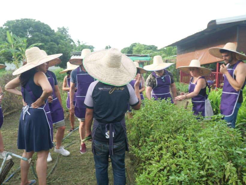Chiang Mai: Half Day Cooking Class at Organic Farm - The instructor experience: English guidance that actually helps