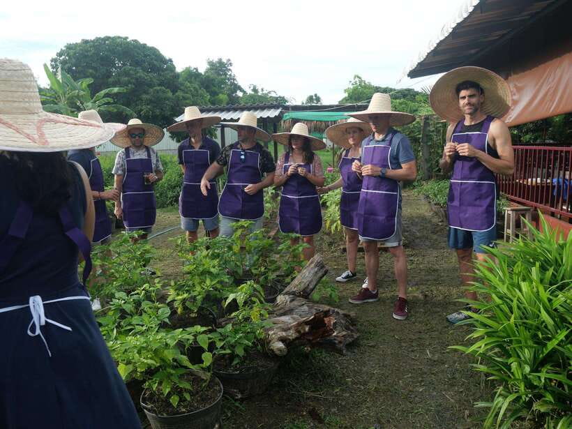 Chiang Mai: Half Day Cooking Class at Organic Farm - Choosing the garden option: organic farm, city organic garden, or yard garden