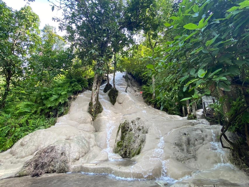 Chiang Mai Half Day Tour: Sticky Waterfall & Hotel Transfer - Key Points Worth Knowing Before You Go