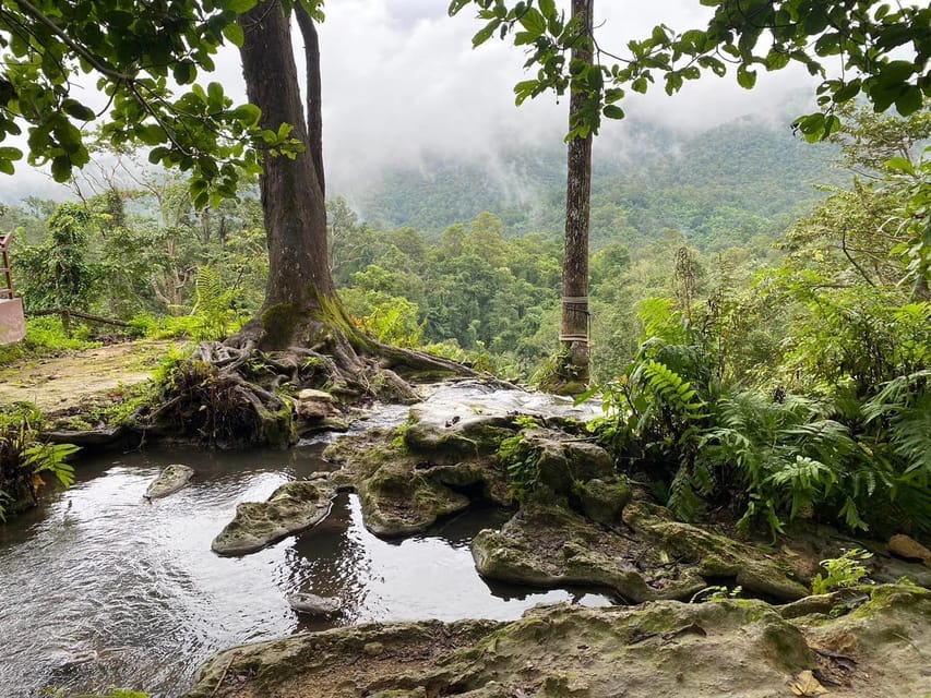 Chiang Mai Half Day Tour: Sticky Waterfall & Hotel Transfer - The Real Goal: Climbing Bua Tong, Not Just Watching Water