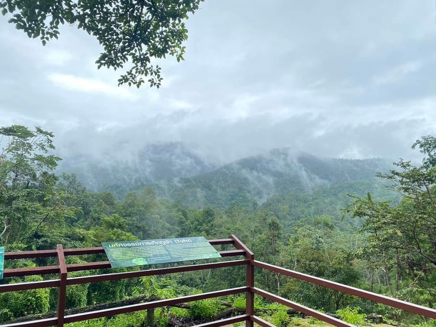Chiang Mai Half Day Tour: Sticky Waterfall & Hotel Transfer - Spider-Man Rocks: How the Sticky Climb Actually Works
