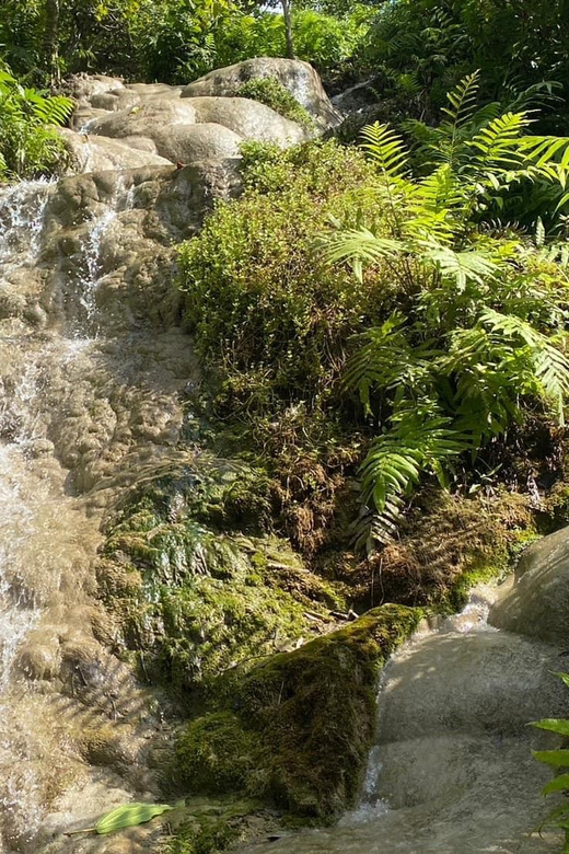 Chiang Mai Half Day Tour: Sticky Waterfall & Hotel Transfer - Price and Value: You Pay for Entry Plus a No-Guide Transfer