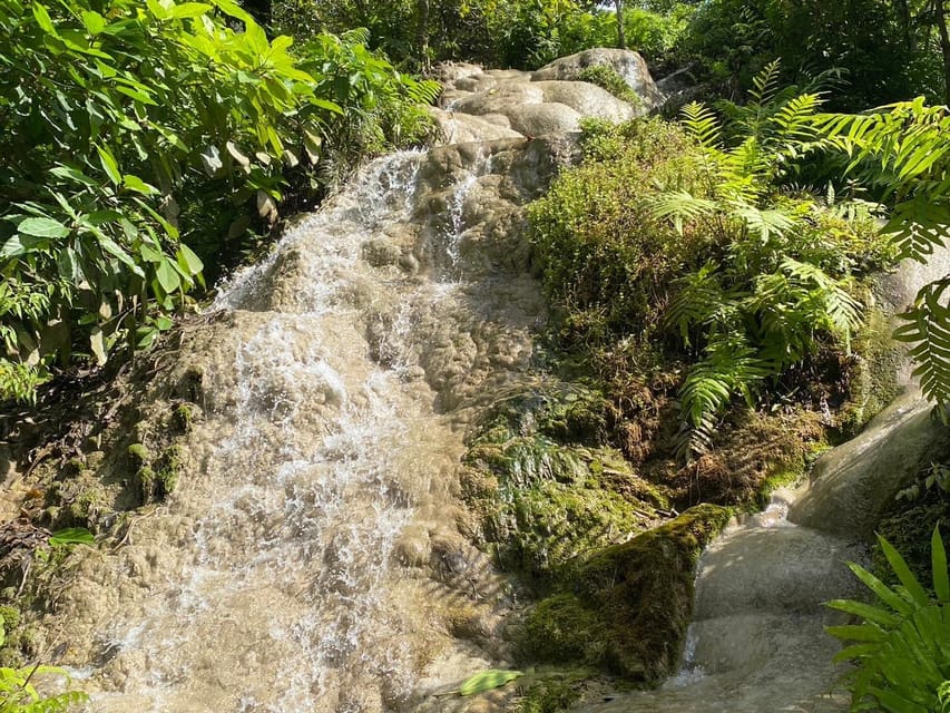 Chiang Mai Half Day Tour: Sticky Waterfall & Hotel Transfer - Hotel Pickup, Burger King Tha Pae, and the Road Up the Mountain