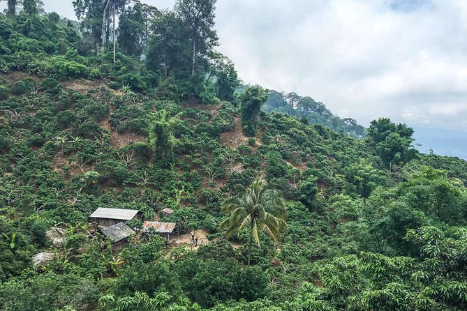 Chiang mai Hike & Downhill Bike Adventure –Suthep National Park - Stop 5: Huai Tueng Thao lake break, second meal, and recovery