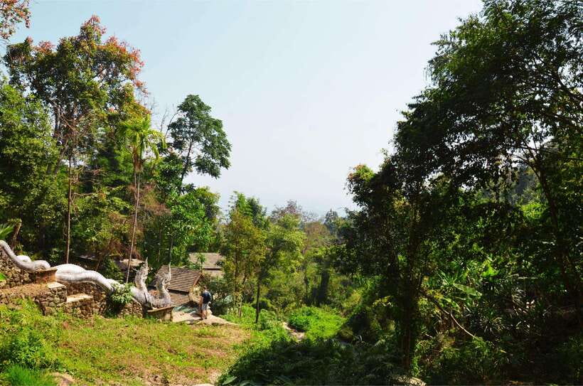 Chiang Mai: Hike on Monk’s Trail and Doi Suthep Private Tour - Pickup and pacing: how this 4-hour private tour stays friendly
