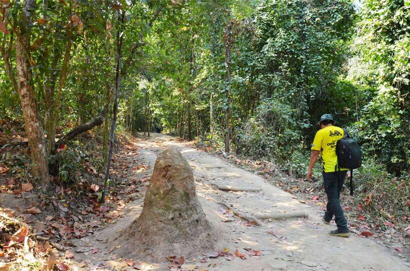Chiang Mai: Hike on Monk’s Trail and Doi Suthep Private Tour - What to bring, what to wear, and what not to bring
