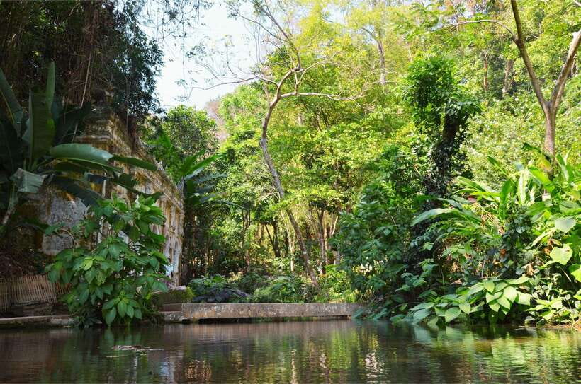 Chiang Mai: Hike on Monk’s Trail and Doi Suthep Private Tour - Should you book this private Monk’s Trail and Doi Suthep tour?