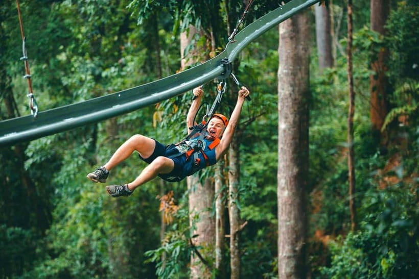Chiang Mai: Jungle Flight Zip Line Roller Coaster - Key takeaways before you go
