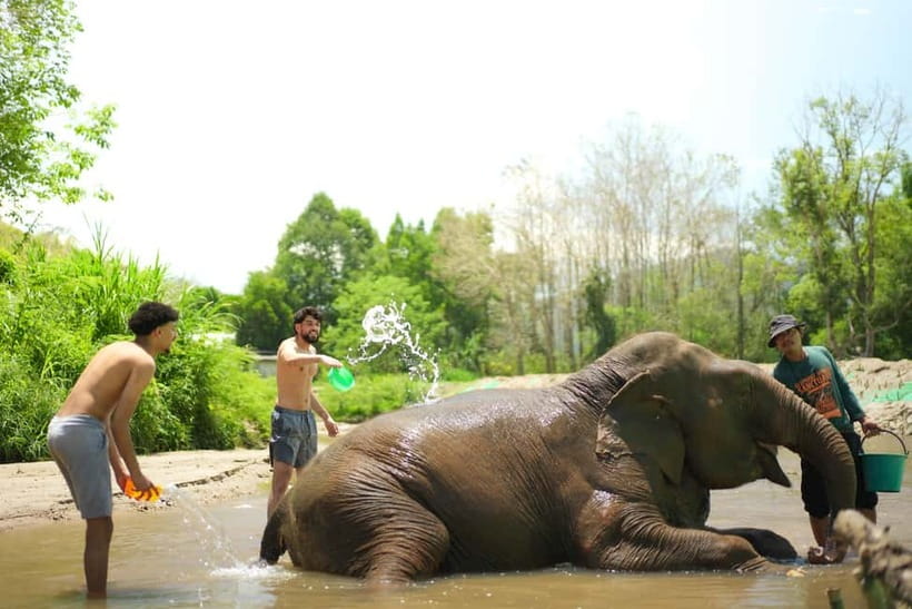 Chiang Mai: Jungle Jumbo Elephant Sanctuary with Waterfall - Price and Value: Why $45 Can Make Sense, If You Know What You’re Buying