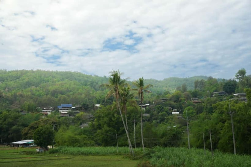 Chiang Mai: Jungle Jumbo Elephant Sanctuary with Waterfall - Transfers and Timing: Pickup Works Best When You Confirm It