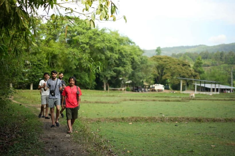 Chiang Mai: Jungle Jumbo Elephant Sanctuary with Waterfall - What To Bring (So You Don’t Regret It Mid-Day)