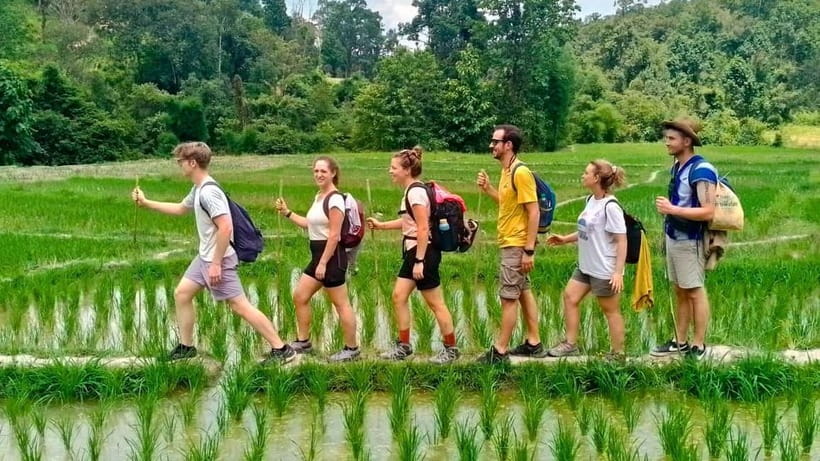 Chiang Mai: Jungle Trek, Elephants care & Bamboo Rafting - The local market stop: where fresh ingredients start the day