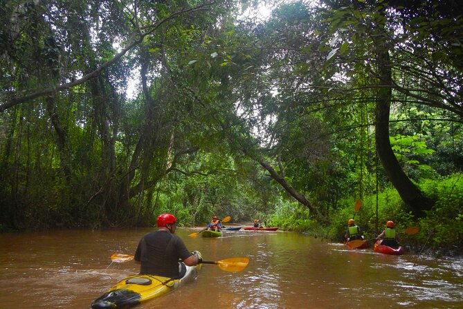 Chiang Mai : Kayak the Jungle Rivers of Chiang Dao Valley! - Chiang Dao Valley feels like a real escape from Chiang Mai