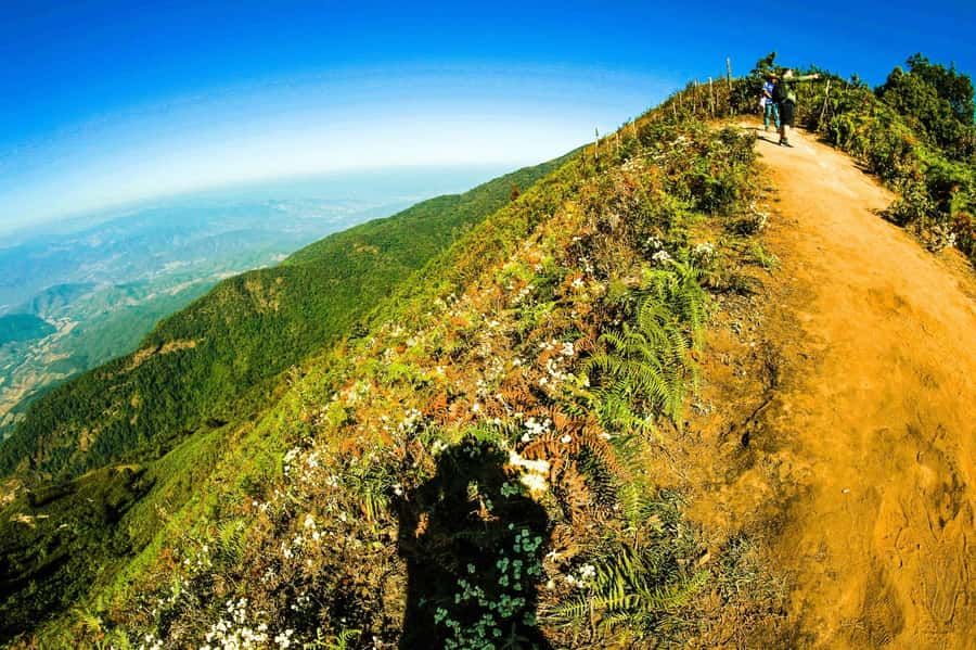 Chiang Mai: Kew Mae Pan Nature Trail & Doi Inthanon Day Trip - Pagodas and markets: royal architecture plus everyday northern life