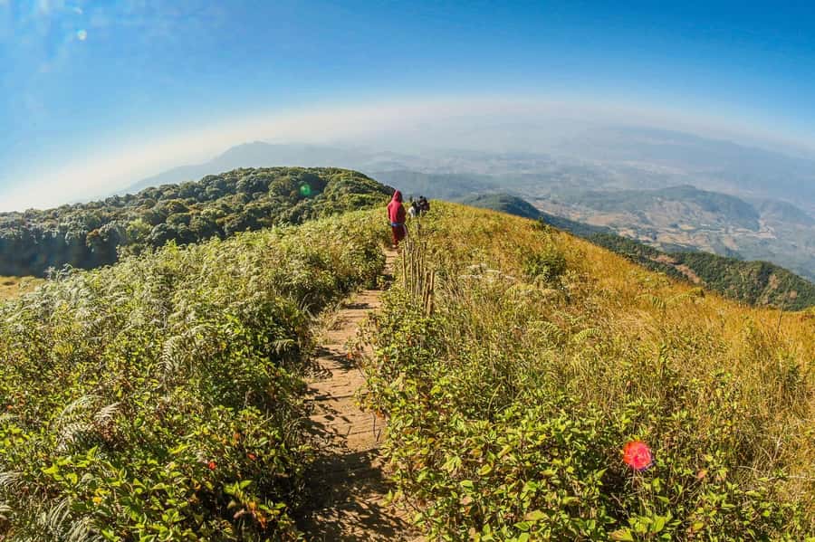 Chiang Mai: Kew Mae Pan Nature Trail & Doi Inthanon Day Trip - Doi Inthanon: Thailand’s rooftop and the forest story behind it