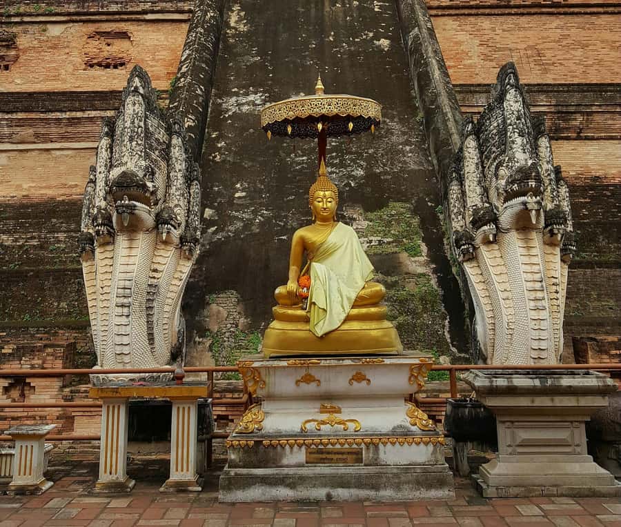 Chiang Mai Light: Tuk Tuk Night Tour with Temples & Markets - Chinatown at night: street energy and real food moments