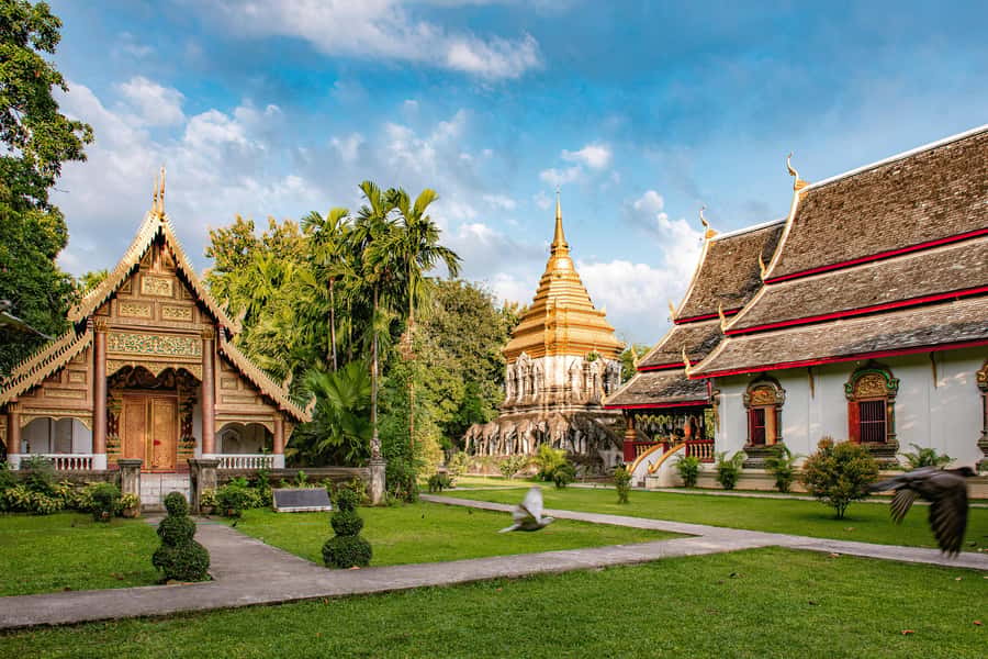 Chiang Mai Light: Tuk Tuk Night Tour with Temples & Markets - Chiang Mai Gate Night Market: snacks, lights, and that quick browse time