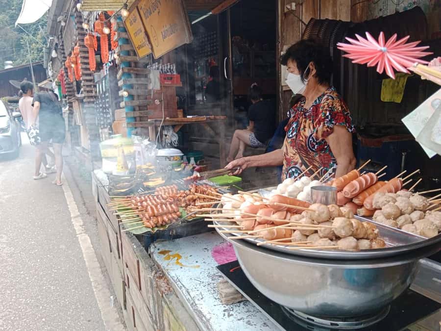 Chiang Mai: Mae Kampong Village, Hot Springs & Bor Sang Tour - What this Chiang Mai circuit really offers