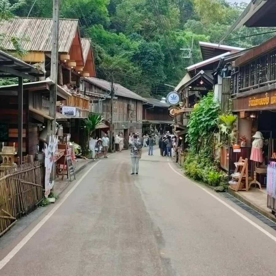 Chiang Mai: Mae Kampong Village, Hot Springs & Bor Sang Tour - Mae Kampong Village: creek walks, kampong flowers, and local flavor