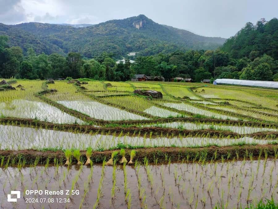 Chiang Mai: Mae Ya Waterfall & Pha Dok Siew Trail Trek - Key takeaways before you go
