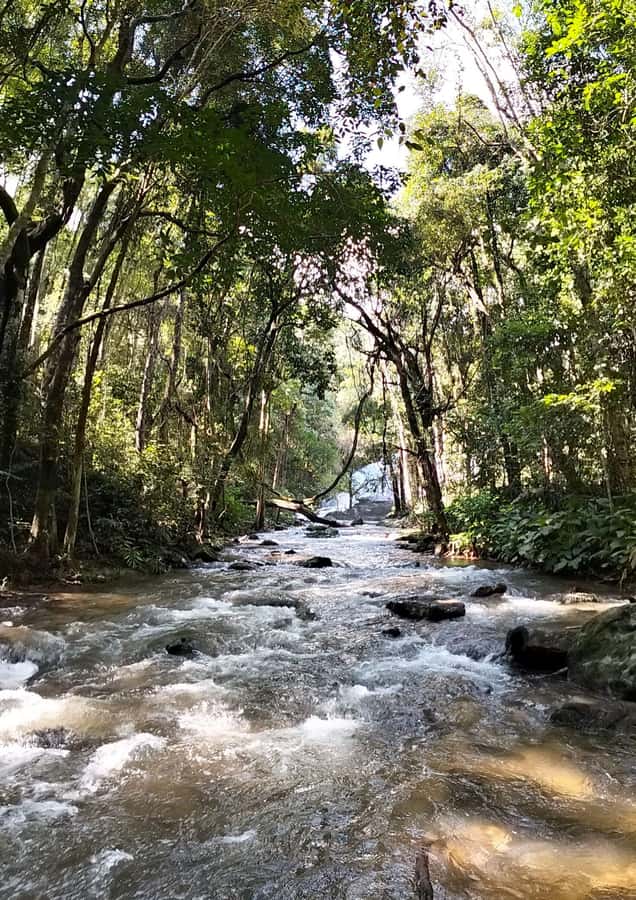Chiang Mai: Mae Ya Waterfall & Pha Dok Siew Trail Trek - Guides, group size, and why the trip feels personal