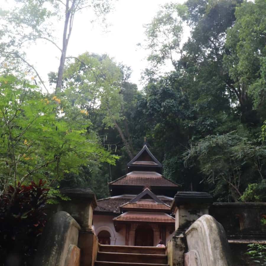 Chiang Mai Monk's Trail Wat Pha Lat & Visit Wat Doi Suthep - Who this tour suits best, and who should choose another plan