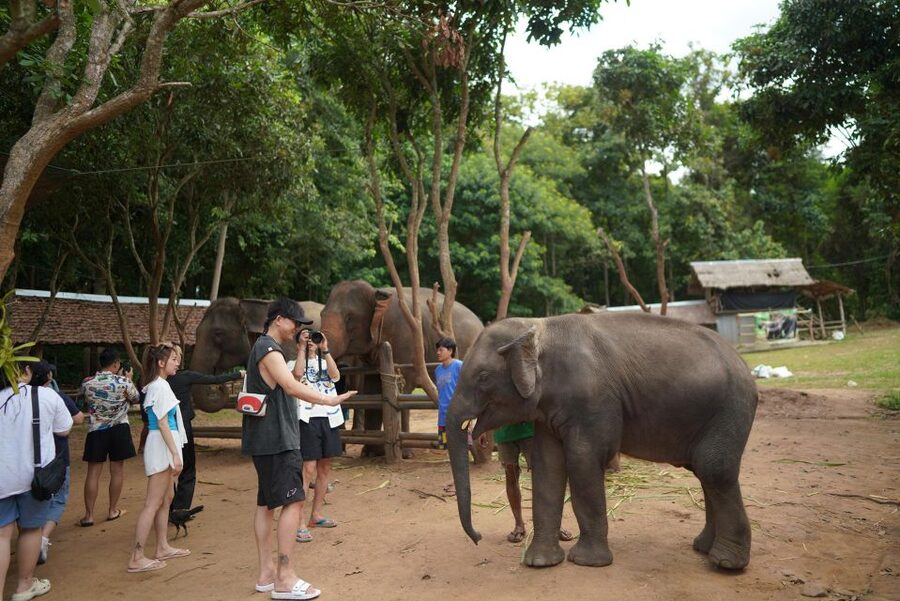 Chiang Mai: National Elephant Care, Rafting, & Ziplines Trip - Thai Buffet Lunch by the River: Where the Day Finally Slows Down