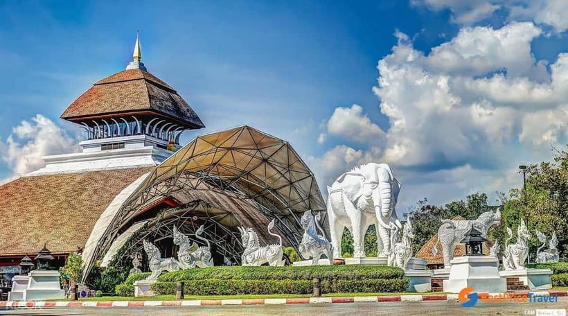 Chiang Mai Night Safari: Entry Ticket with Tram Ride - Ticket Value: What Your Chiang Mai Night Safari Pass Really Includes