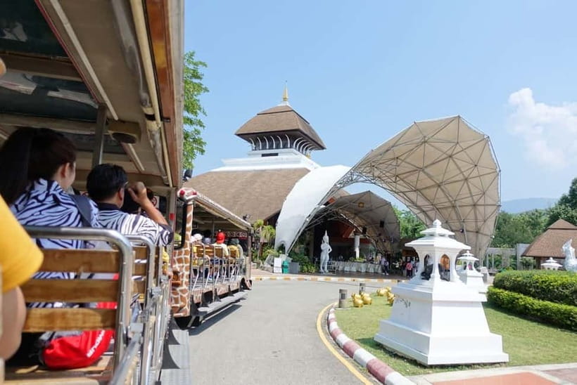 Chiang Mai Night Safari: Entry Ticket with Tram Ride - Using Your E-Ticket QR Code at Entry (and What to Keep Handy)
