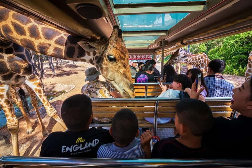Chiang Mai Night Safari Ticket & Tram Rides Optional Pickup - Walking Trails, Themed Zones, and Close-Up Animal Options