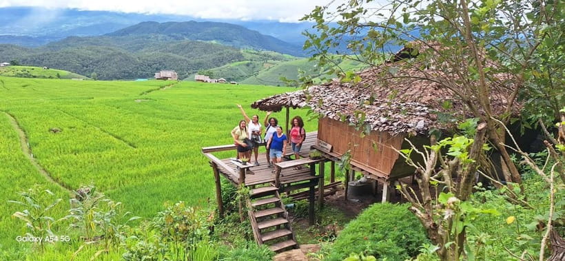 Chiang Mai : Pa Bong Piang Rice Terraces & Doi Inthanon - Pa Bong Piang Rice Terraces, Why This Step-By-Step View Matters