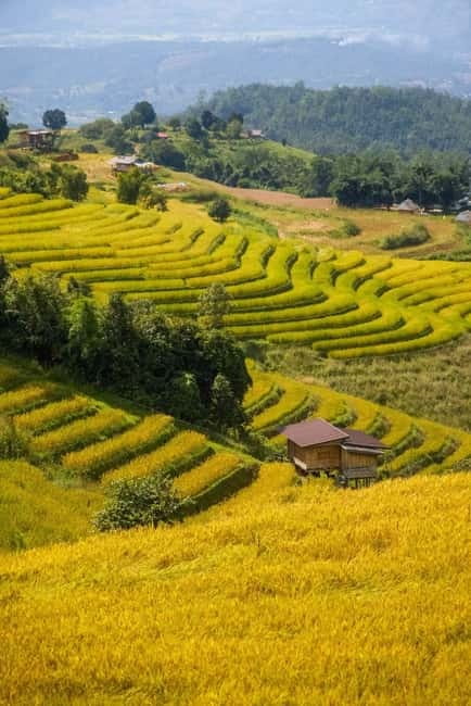 Chiang Mai : Pa Bong Piang Rice Terraces & Doi Inthanon - Weather, Photography Tips, and Your Packing List That Actually Helps
