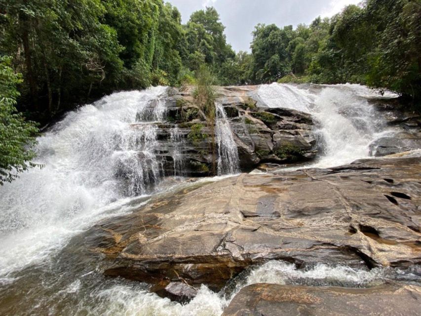 Chiang Mai: Pha Dok Siew Nature Trail & Doi Inthanon Trip - Pha Dok Siew Nature Trail: waterfalls, flowers, and a slower pace than you expect