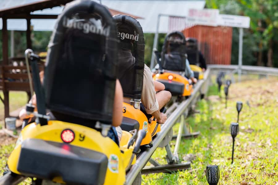 Chiang Mai: Pongyang Jungle Coaster and Zip Line Tour - Key Things I’d Bet on Before You Go
