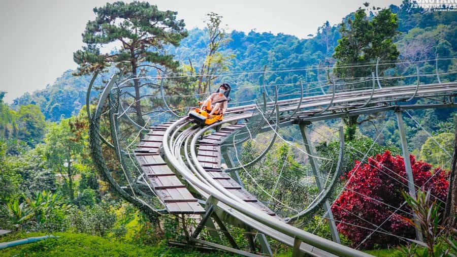 Chiang Mai: Pongyang Jungle Coaster and Zip Line Tour - Riding the Jungle Coaster for Real Speed (and Real Rules)