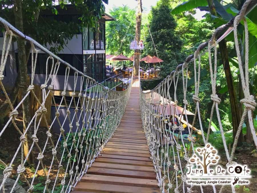 Chiang Mai: Pongyang Jungle Coaster and Zip Line Tour - Safety Briefing, Staff Energy, and Your First Decisions