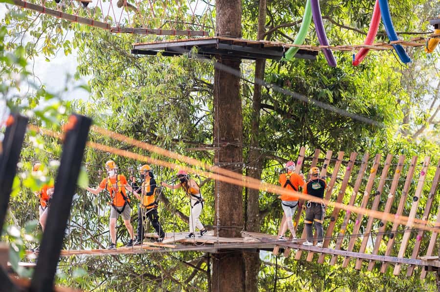 Chiang Mai: Pongyang Jungle Coaster & Zipline with Transfer - Lunch Break, Drinks, and Why the Timing Matters