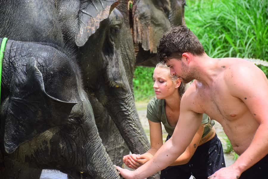 Chiang Mai: Private Elephant Care Experience for Couples - Private Couples Elephant Care in Chiang Mai: What This Feels Like