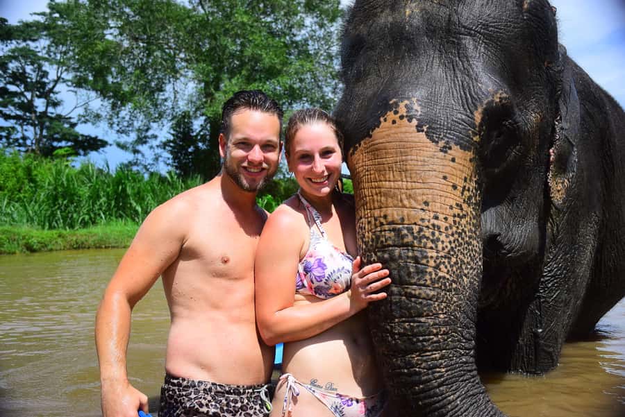 Chiang Mai: Private Elephant Care Experience for Couples - Meeting the Elephants: Feeding Fruit and Sugar Cane Up Close