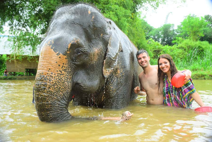 Chiang Mai: Private Elephant Care Experience for Couples - Pickup in Chiang Mai Old City and the Morning Rhythm
