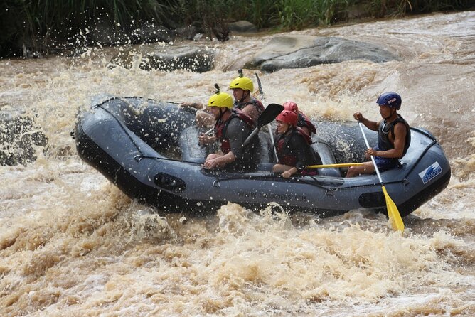 Chiang Mai Rafting in Mae Taeng River with Thai Buffet - The 10km descent: what the rapids feel like, plus wildlife spotting