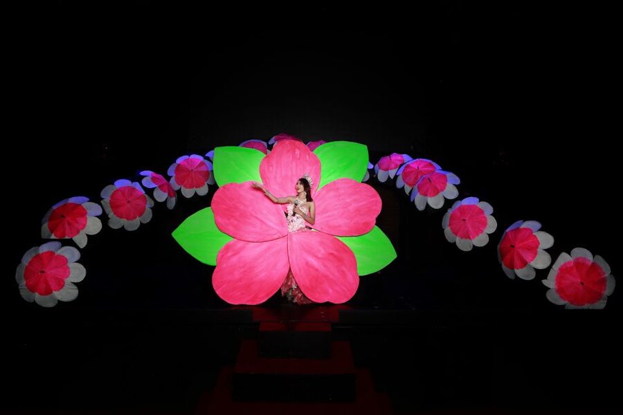 Chiang Mai: Siam Dragon Cabaret Show with Optional Transfer - Siam Dragon Cabaret Show: what you’re really buying
