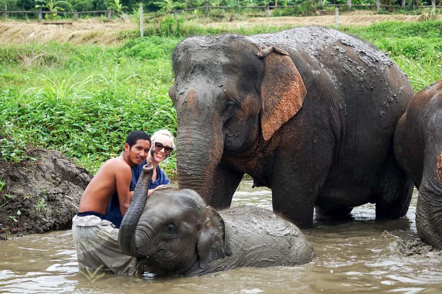 Chiang Mai: Small Group Ethical Elephant Sanctuary Tour - Mud Bath and River Time: The Most Memorable Part (If You Dress for It)