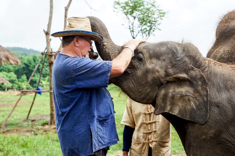 Chiang Mai: Small Group Ethical Elephant Sanctuary Tour - Group Size, Time on Site, and What to Pack for Comfort